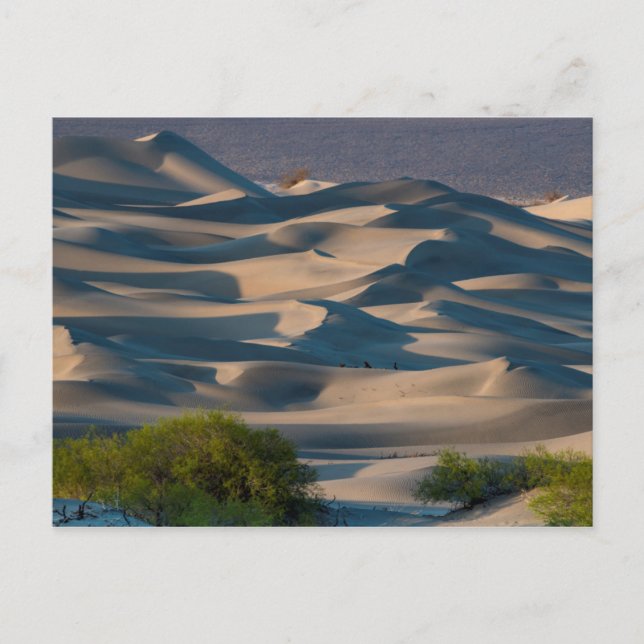 Carte Postale Paysage de dunes de sable, Californie (Devant)