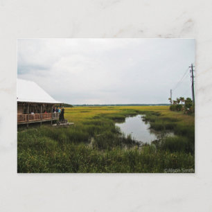 Carte Postale Paysage de Floride