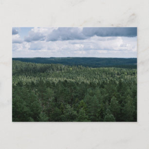 Carte Postale Paysage de forêt verte panoramique - Photo de la c
