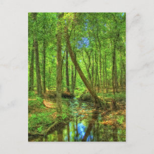 Carte Postale Paysage de Géorgie