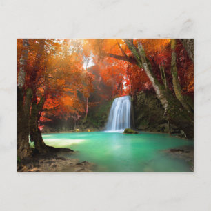 Carte Postale Paysage de Jangle   Kanchanaburi, Thaïlande