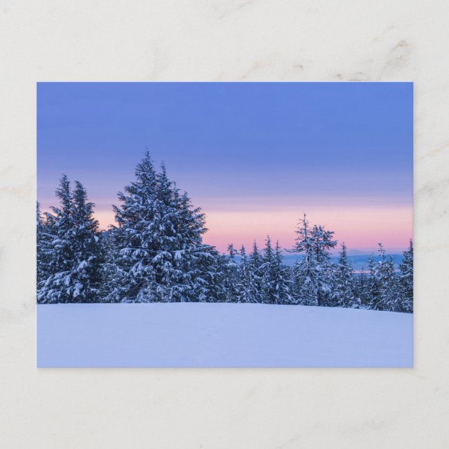 Carte Postale Paysage de la forêt d'hiver au coucher du soleil (Devant)