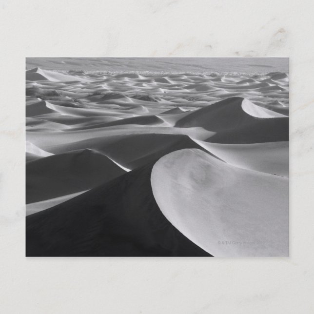 Carte Postale Paysage de la vallée de la Mort (Devant)