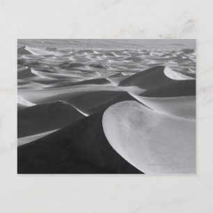 Carte Postale Paysage de la vallée de la Mort