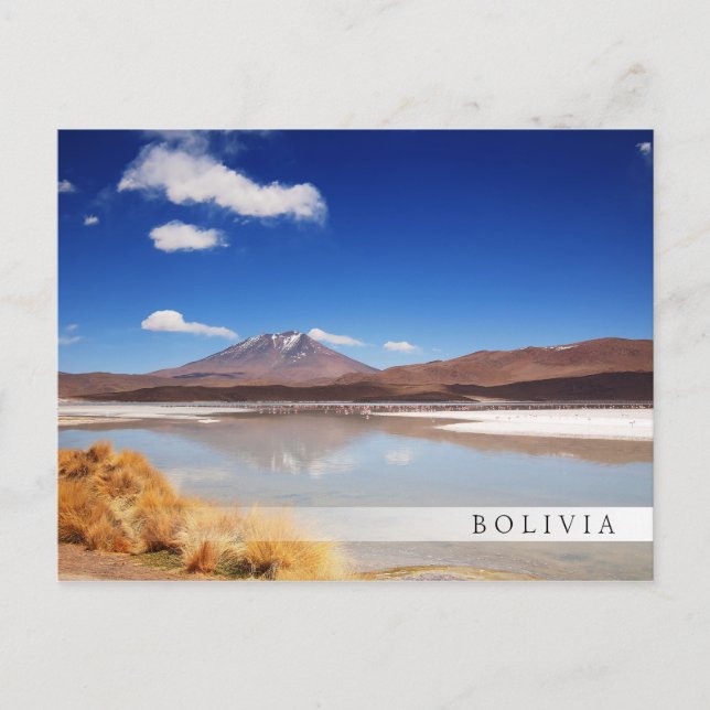 Carte Postale Paysage de l'Altiplano avec volcan en Bolivie (Devant)