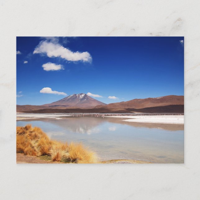 Carte Postale Paysage de l'Altiplano avec volcan en Bolivie (Devant)
