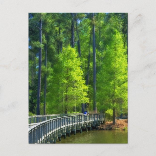 Carte Postale Paysage de l'appel (Devant)