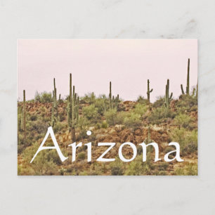 Carte Postale Paysage de l'Arizona Cactus