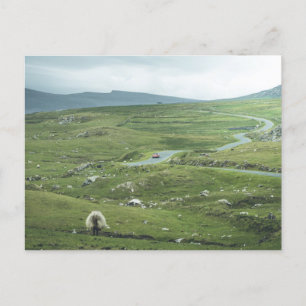 Carte Postale Paysage de l'île d'Achill