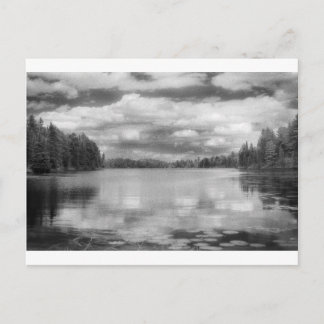 Carte Postale Paysage de Northwoods
