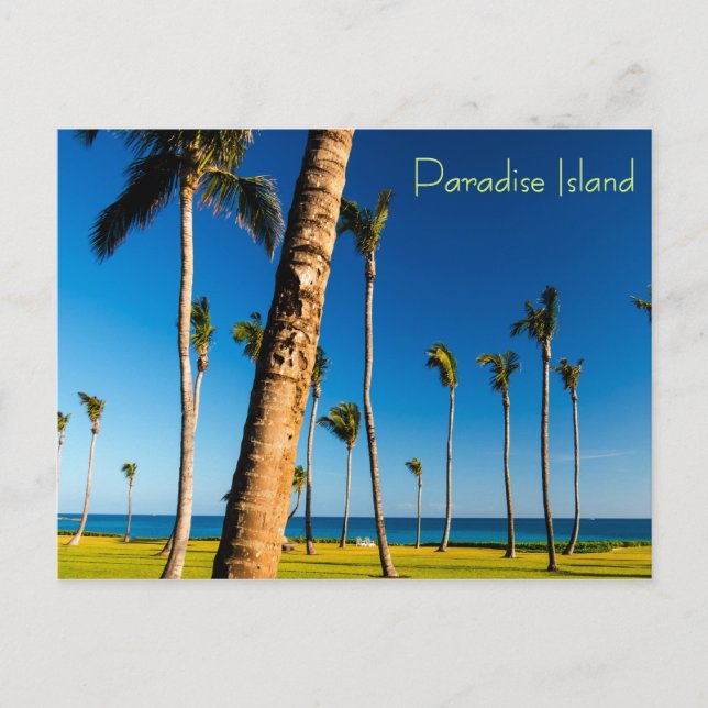 Carte Postale Paysage de Paradise Island (Devant)