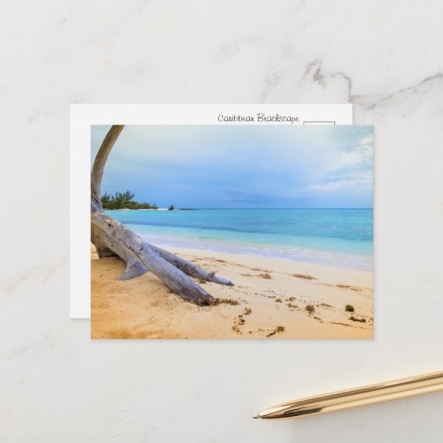 Carte Postale Paysage de plage des Caraïbes (Devant/Arrière en situation)