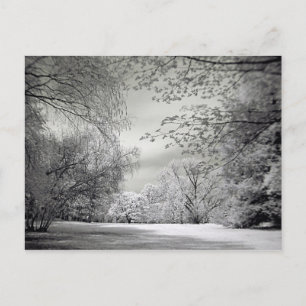 Carte Postale Paysage de printemps infrarouge surréaliste.