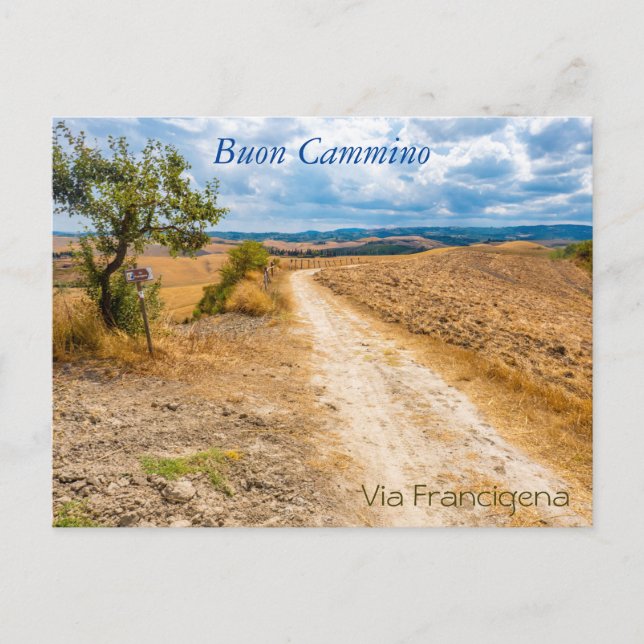 Carte Postale Paysage de Toscane le long de la via Francigena, I (Devant)