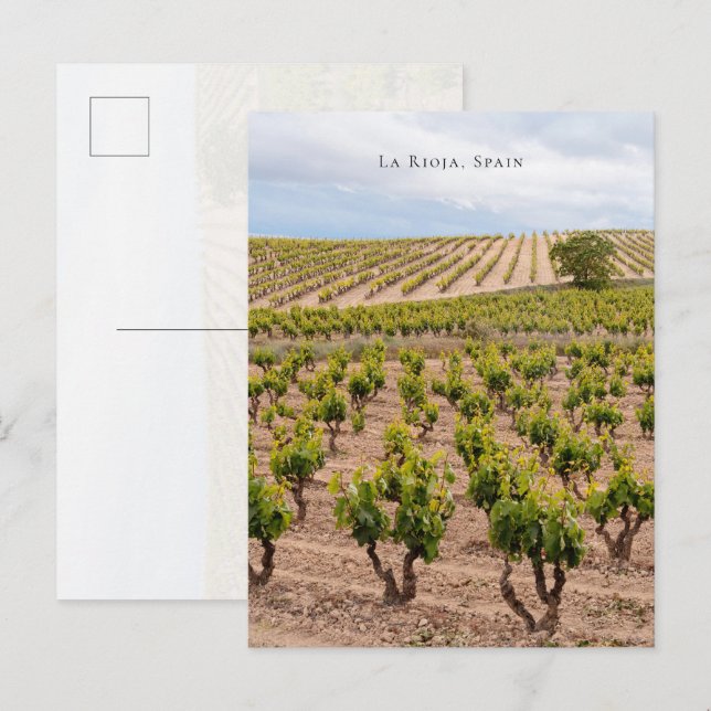 Carte Postale Paysage de vignoble de La Rioja, Espagne (Devant / Derrière)