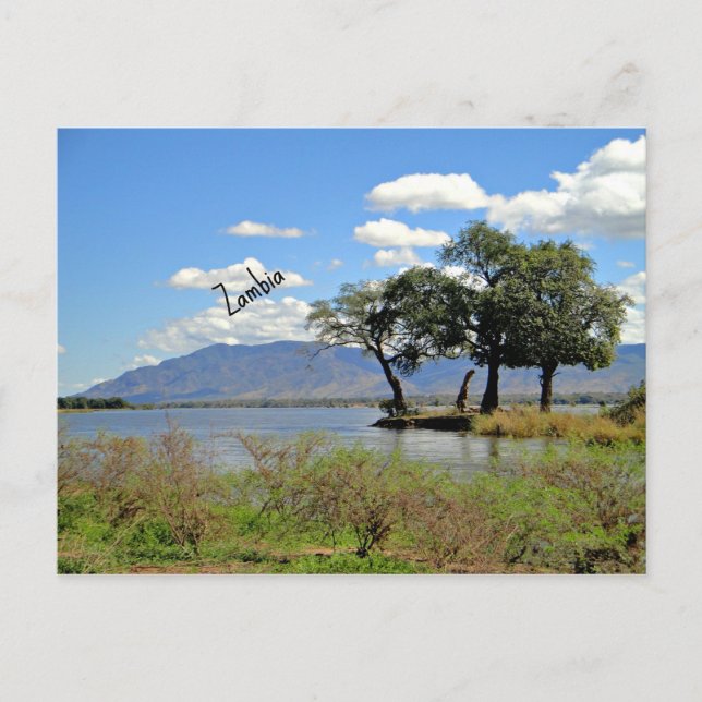 Carte Postale Paysage de Zambie (Devant)