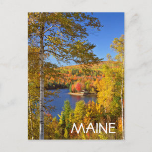 Carte Postale Paysage des arbres d'automne, Maine