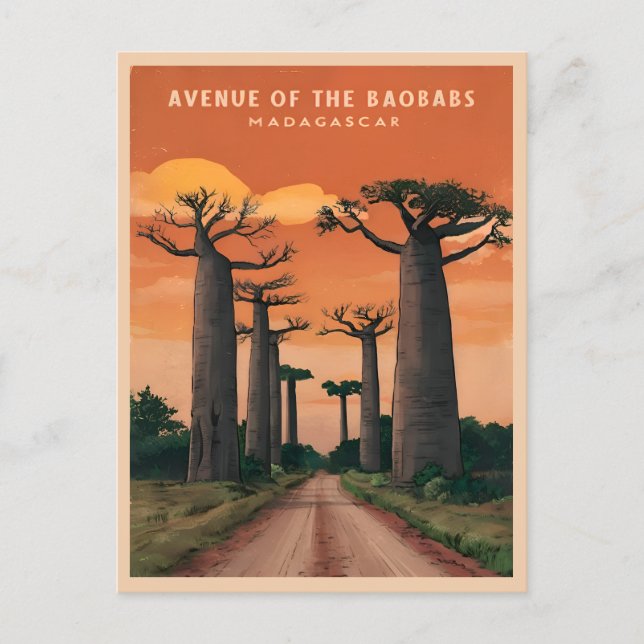 Carte Postale Paysage des baobabs Vintage voyage Madagascar (Devant)