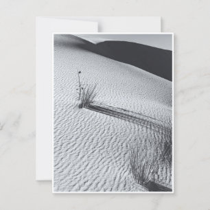 Carte Postale Paysage des dunes de sable blanc noir et blanc