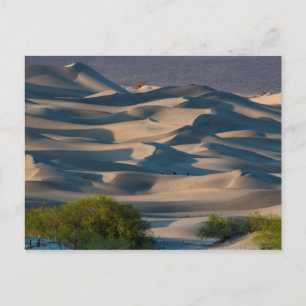 Carte Postale Paysage des dunes de sable, Californie