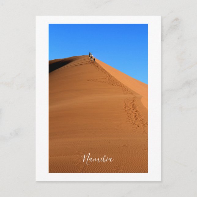 Carte Postale Paysage des dunes de sable de Namibie Sossusvlei (Devant)