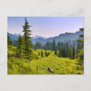 Carte Postale Paysage des montagnes et des forêts État de Washin
