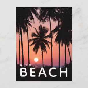 Carte Postale Paysage des palmiers à coco