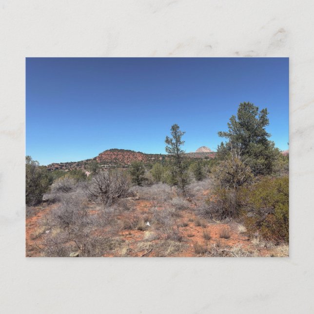 Carte Postale Paysage désertique des collines de Red Rock (Devant)
