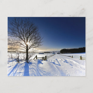 Carte Postale Paysage d'hiver