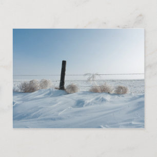 Carte postale Paysage d'hiver