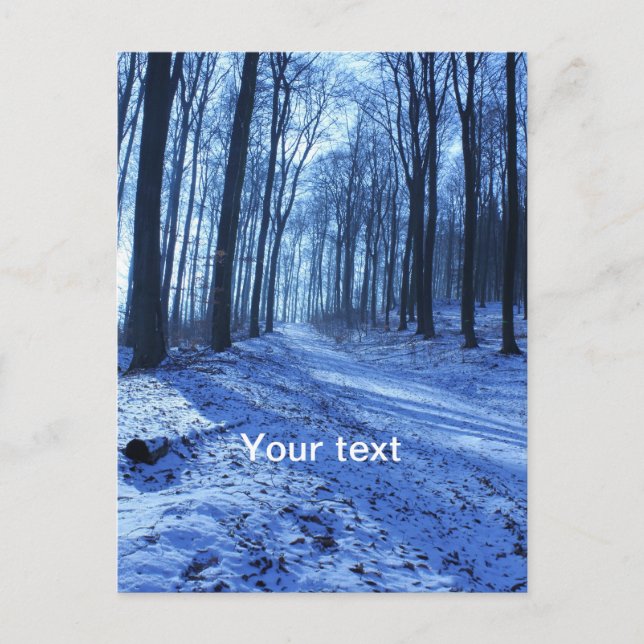 Carte Postale Paysage d'hiver bleu (Devant)