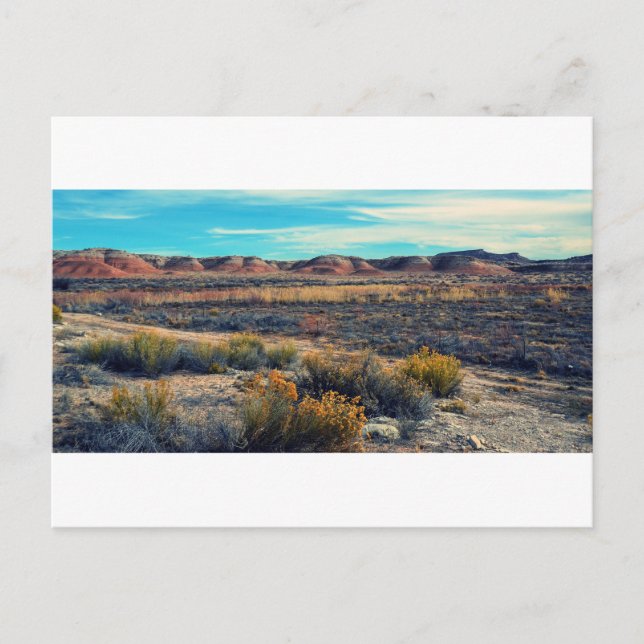 Carte Postale Paysage du désert dans le sud de l'Utah (Devant)