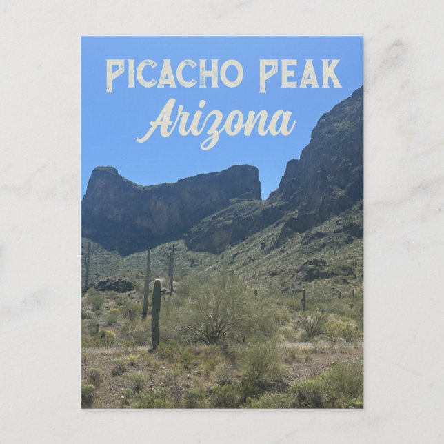 Carte Postale Paysage du désert de l'Arizona Saguaro Cactus Natu (Devant)