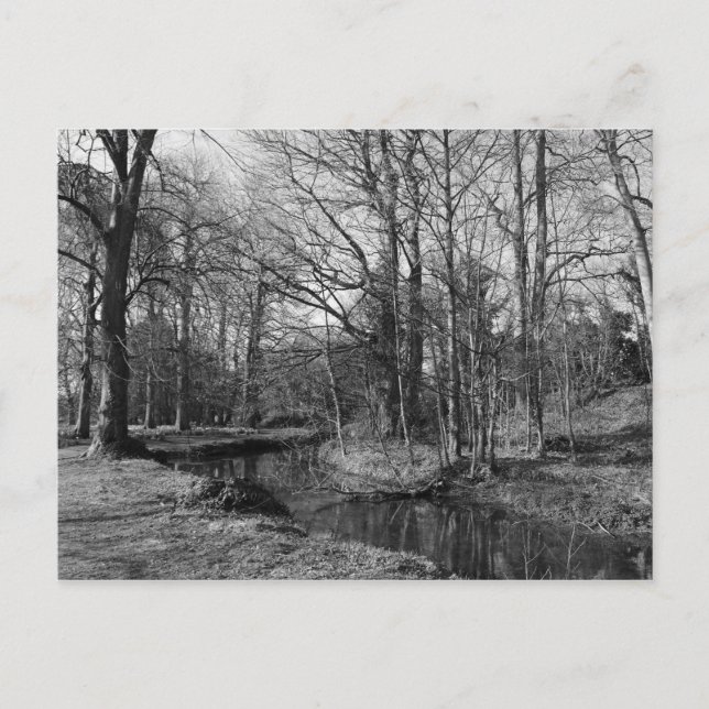 Carte Postale Paysage du parc - Bute Park, Cardiff (Devant)