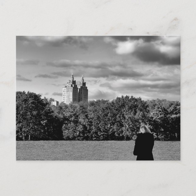 Carte Postale Paysage du parc central noir et blanc Photo (Devant)