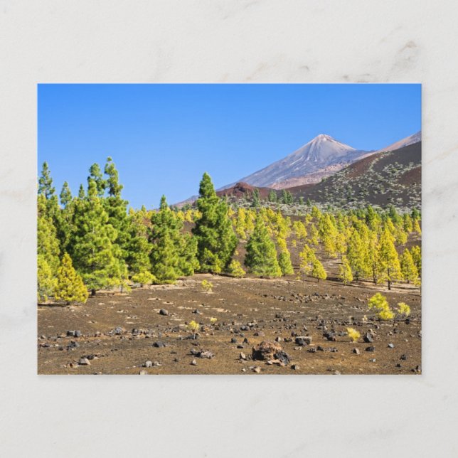 Carte Postale Paysage du parc national Teide à Tenerife (Devant)