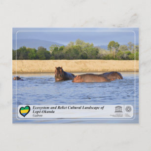 Carte Postale Paysage écologique et culturel de Lopé-Okanda