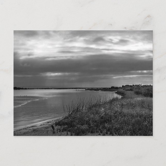 Carte Postale Paysage en argent stérile (Devant)
