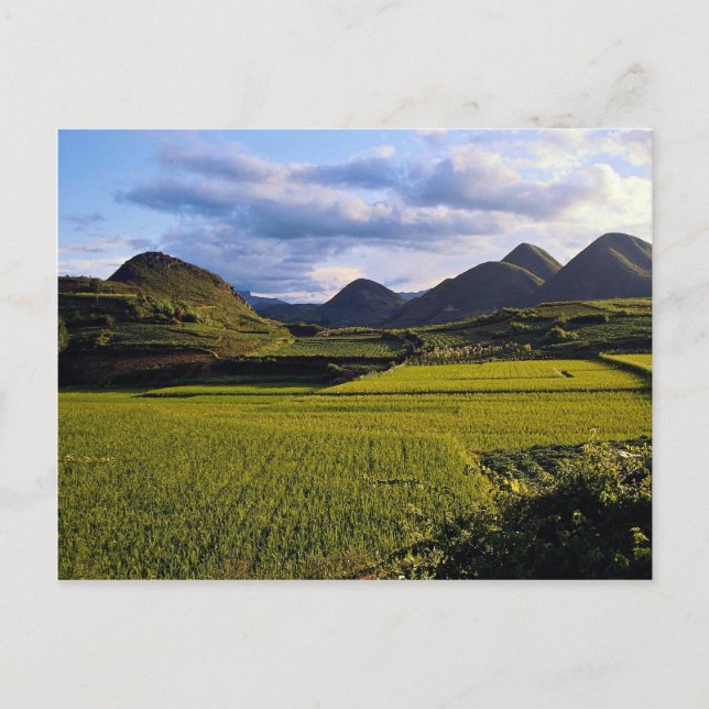 Carte Postale Paysage entre Kaili et Qinghai, province de Guizho (Devant)