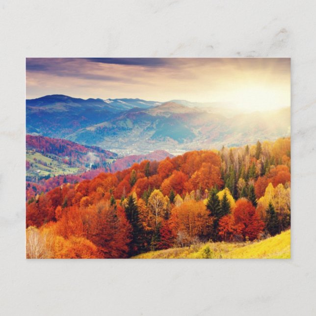 Carte Postale Paysage forestier d'automne de montagne (Devant)