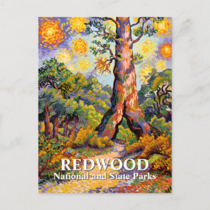 Carte Postale Paysage forestier du parc national Redwood de Van