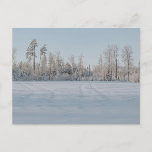 Carte Postale Paysage forestier enneigé serein