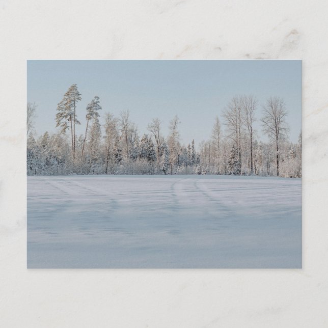 Carte Postale Paysage forestier enneigé serein (Devant)