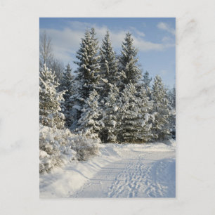 Carte Postale Paysage hivernal
