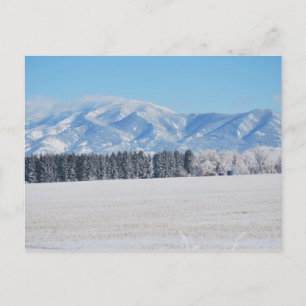 Carte Postale Paysage hivernal d'arbres, de neige et de montagne
