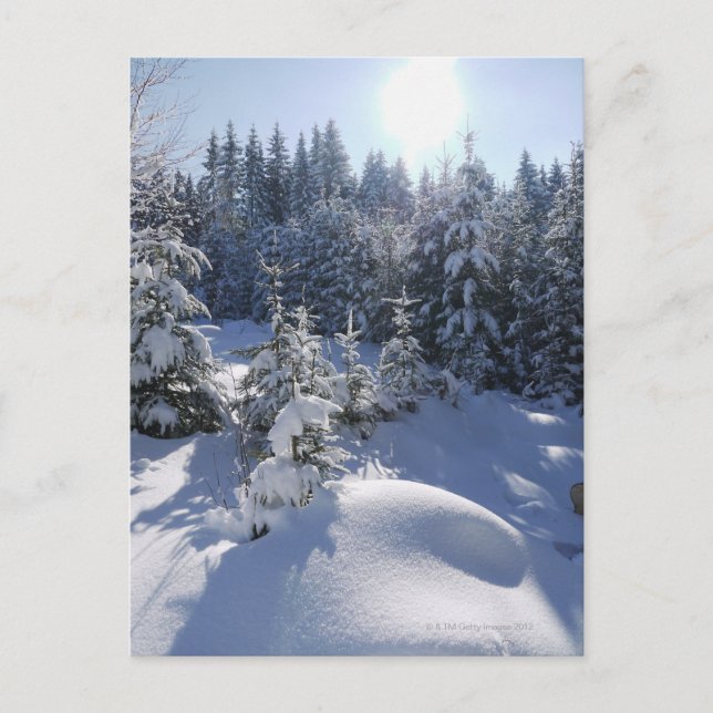 Carte Postale Paysage hivernal froid neige 2 (Devant)