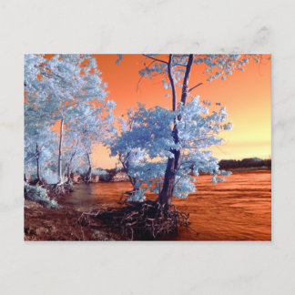 Carte Postale Paysage infrarouge