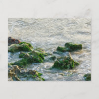 Paysage marin