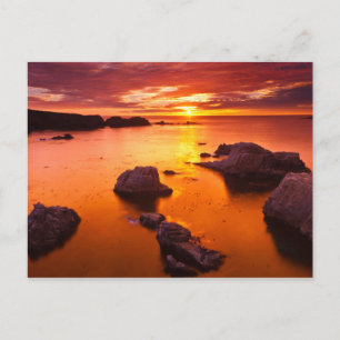 Carte Postale Paysage marin orange, coucher de soleil, Californi