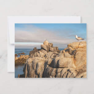 Carte Postale Paysage marin paisible Californie